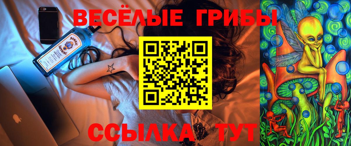 Псилоцибиновые грибы Psilocybe  Псилоцибиновые грибы Psilocybe  продажа наркотиков  Сунжа  Вход с VPN 