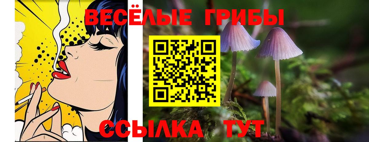 Галлюциногенные грибы Psilocybine cubensis Сунжа